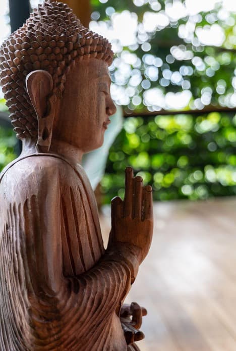 Carved wooden figure in quiet reflection against soft jungle light